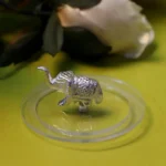 lid