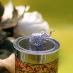 lid