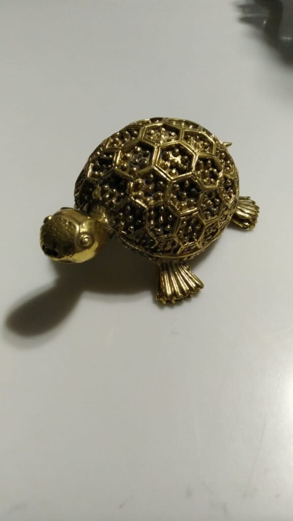 Brass Tortoise