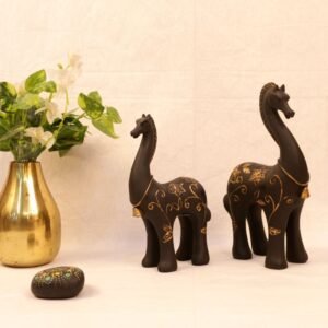 CAMEL SET BZ