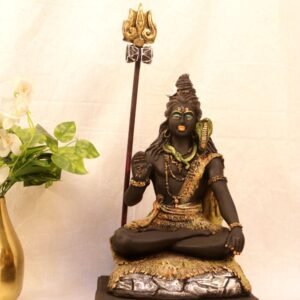 Lord Shiva Idol with Trishul for Home Temple and Mahashivratri Puja