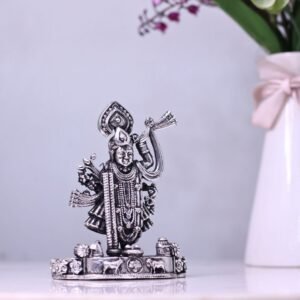Brass Shri Nath Ji